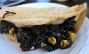Quesadilla Huitlacoche con elote